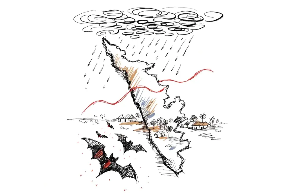 Nipah-Gefahr und Monsun: Klimawandel als Krankheits-Booster in Kerala